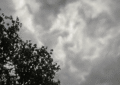 Jharkhand Weather Alert: तेज आंधी और बारिश से बदला मौसम, लोगों को गर्मी से राहत