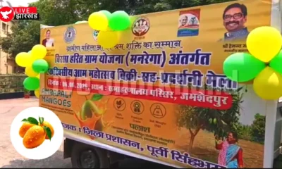 Jamshedpur News: आम महोत्सव को लेकर जिला प्रशासन सक्रिय, प्रचार वाहन रवाना; अम्रपाली आम होंगे खास आकर्षण