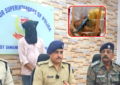 Jamshedpur Crime News: बिस्किट-चॉकलेट की गुमटी में चल रहा था गांजा और नशीली सिरप का धंधा, 2.060 किलो गांजा के साथ आरोपी गिरफ्तार